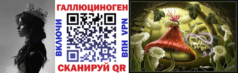 Галлюциногенные грибы прущие грибы  Дербент 