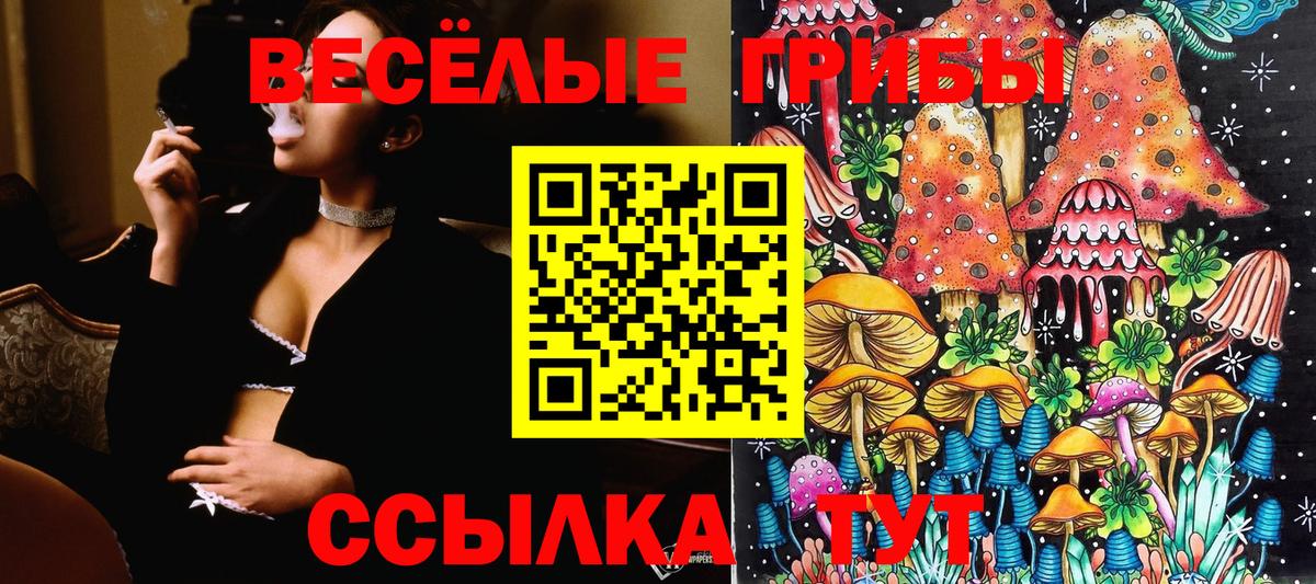 Галлюциногенные грибы мицелий Дербент