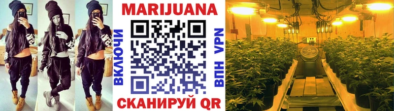 omg зеркало  Дербент  Бошки Шишки сатива 