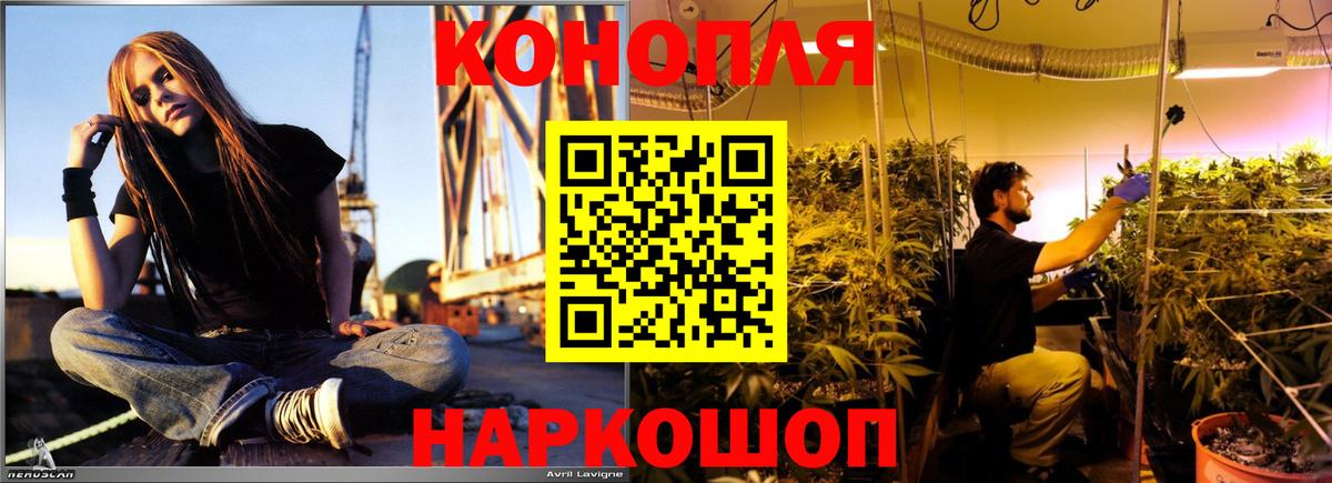 Шишки марихуана конопля  Бошки Шишки марихуана  Конопля Ganja  Дербент 